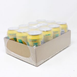 Ginger Lemonade 12-Pack Subscribe and Save